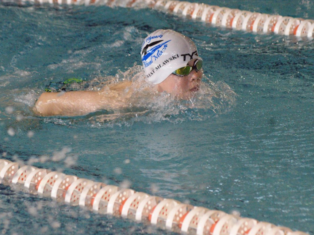 Nie ma jak w domu. Płetwal trzeci na swojej pływalni