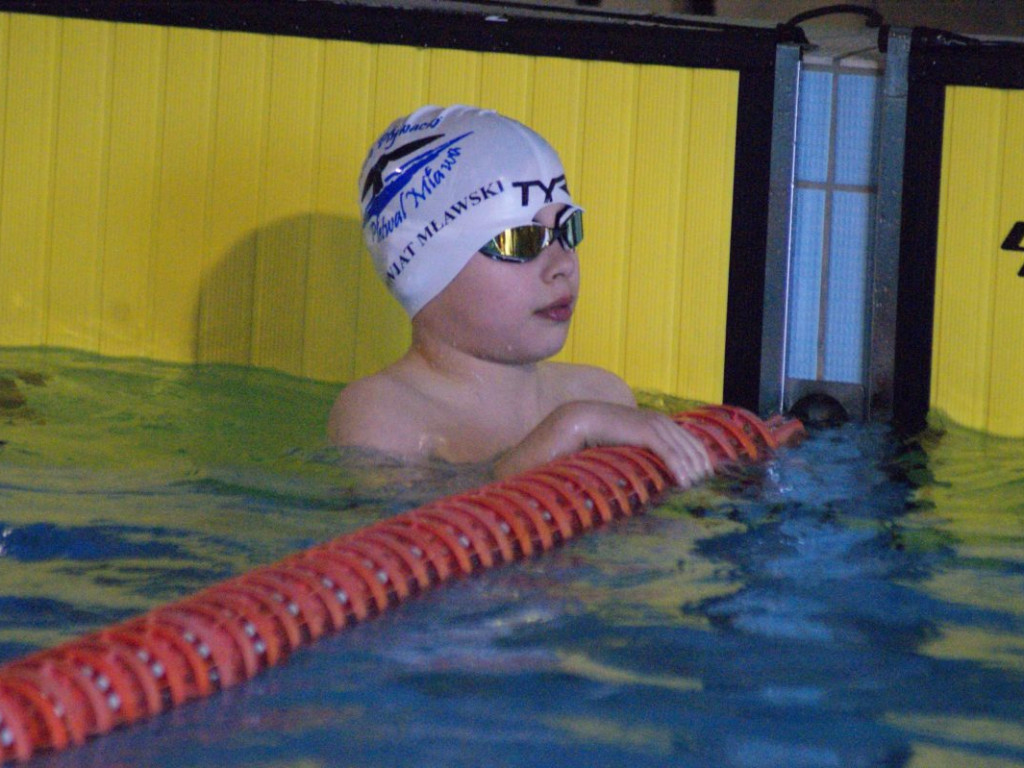 Nie ma jak w domu. Płetwal trzeci na swojej pływalni