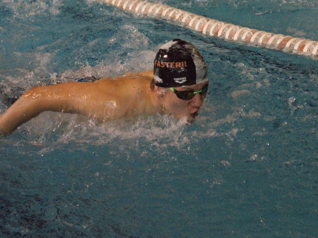 Nie ma jak w domu. Płetwal trzeci na swojej pływalni