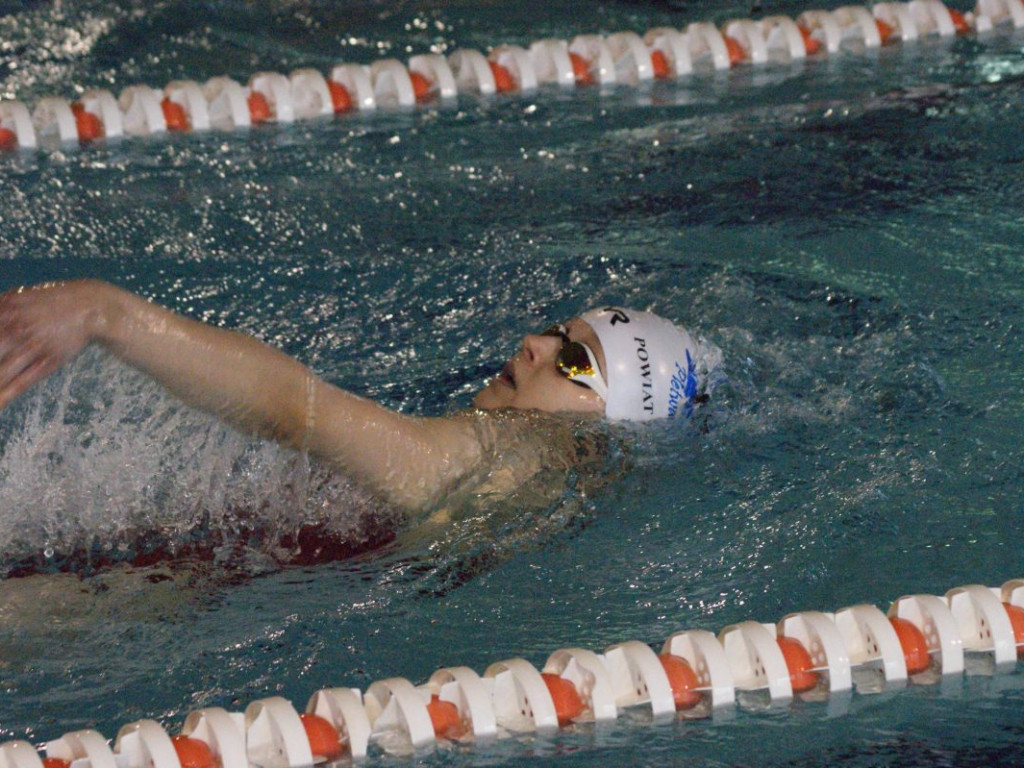 Nie ma jak w domu. Płetwal trzeci na swojej pływalni