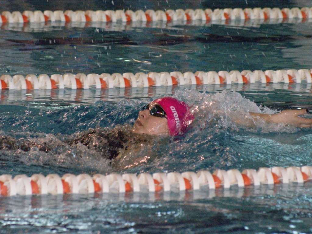Nie ma jak w domu. Płetwal trzeci na swojej pływalni