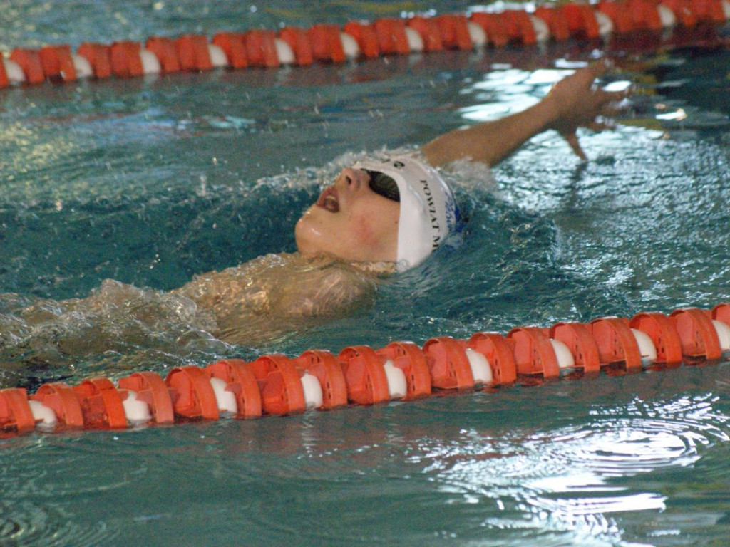 Nie ma jak w domu. Płetwal trzeci na swojej pływalni