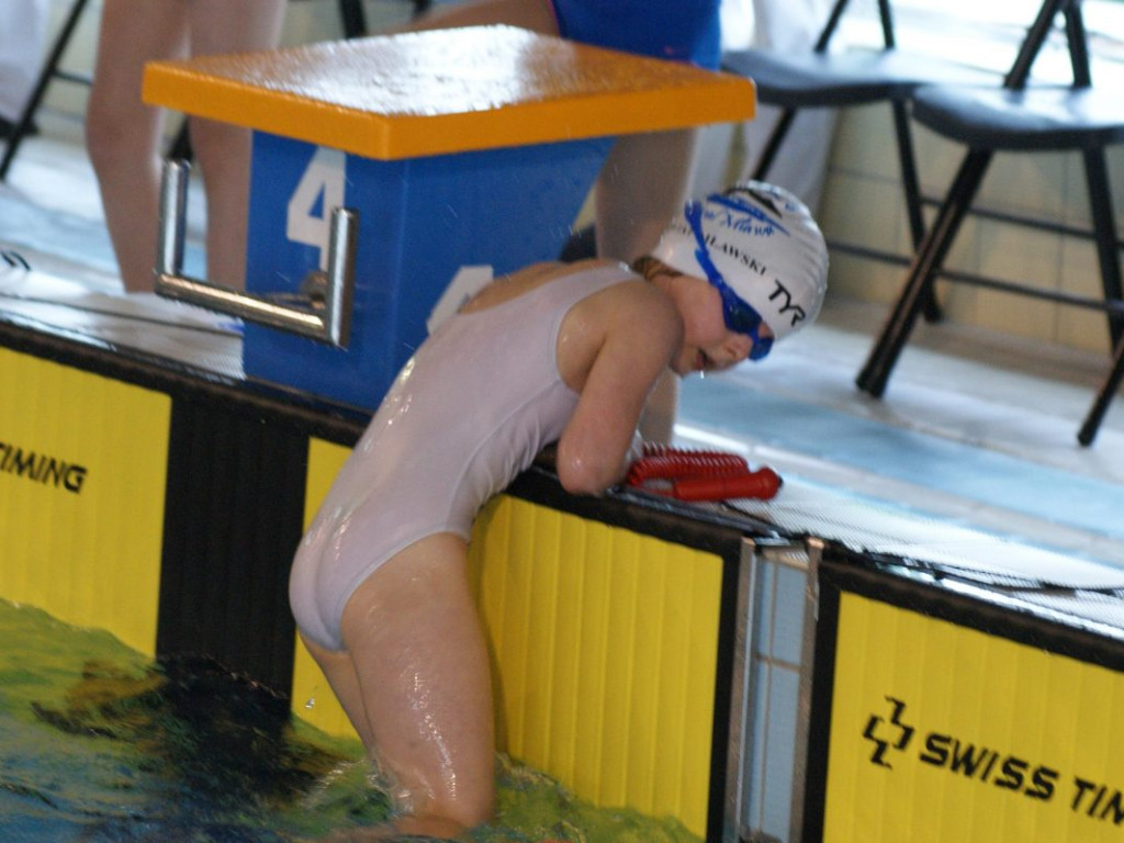 Nie ma jak w domu. Płetwal trzeci na swojej pływalni