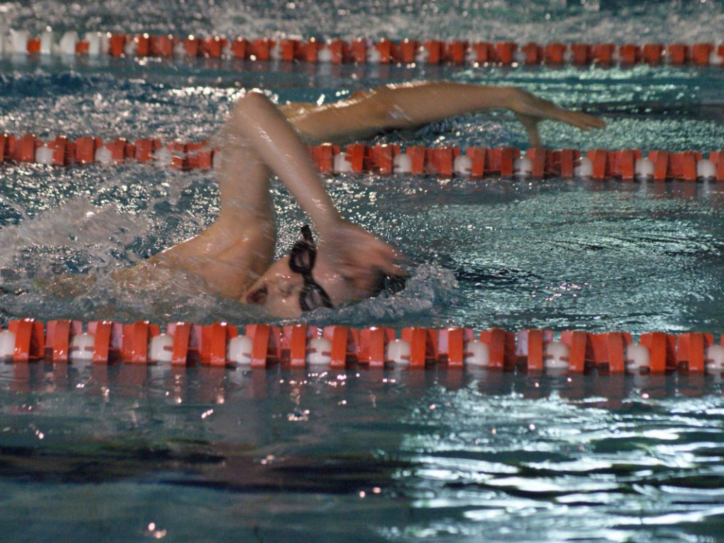 Nie ma jak w domu. Płetwal trzeci na swojej pływalni