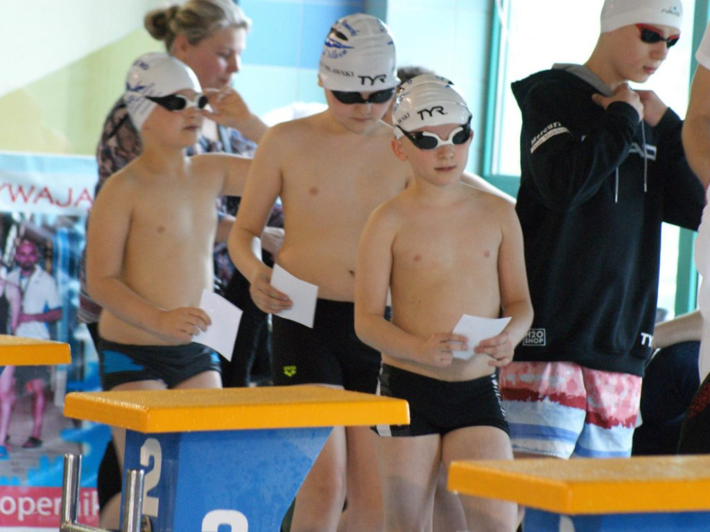 Nie ma jak w domu. Płetwal trzeci na swojej pływalni