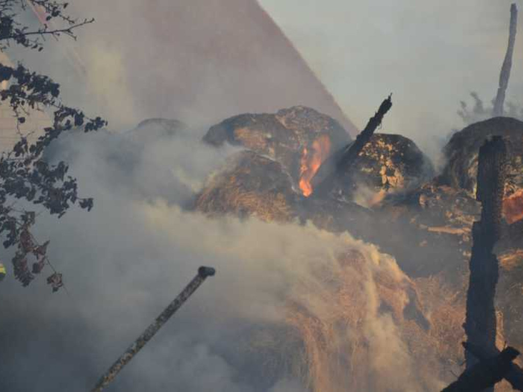 Pożar w gminie Strzegowo. Dym widoczny z odległości kilku kilometrów