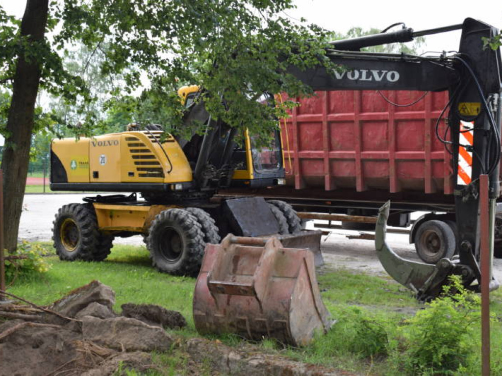 Rosły tu od lat. Ponad 100 drzew wycięto w pień