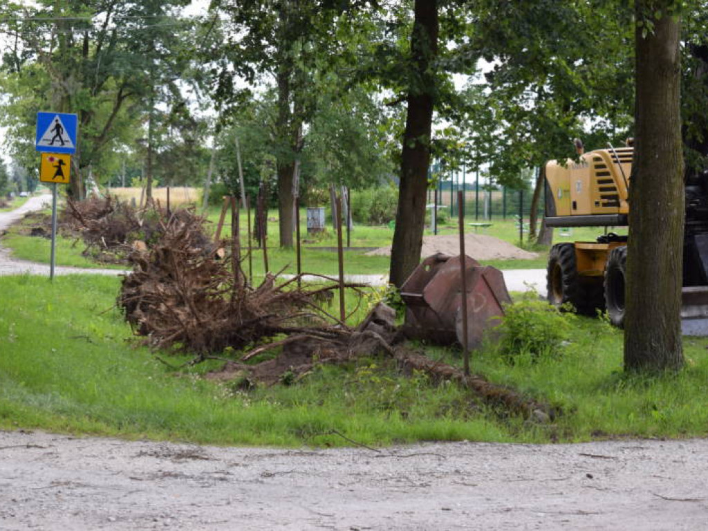 Rosły tu od lat. Ponad 100 drzew wycięto w pień