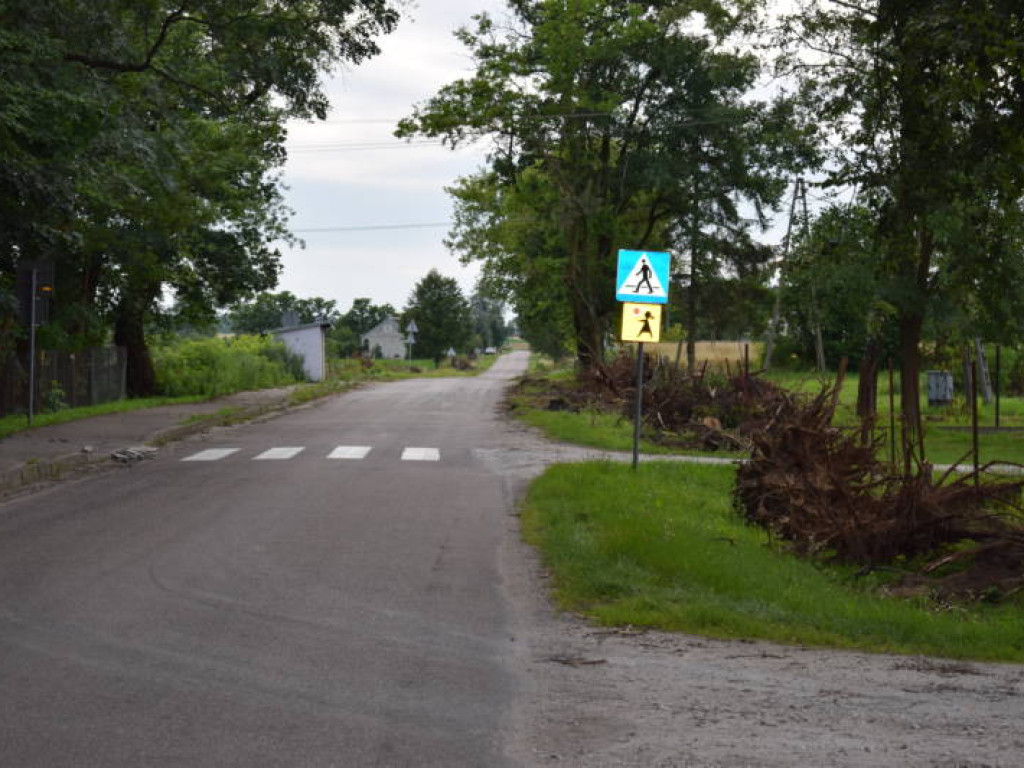 Rosły tu od lat. Ponad 100 drzew wycięto w pień