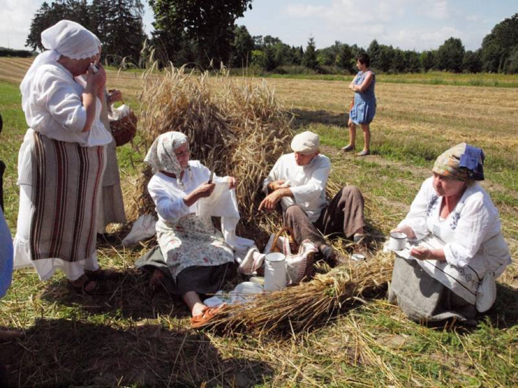 Żniwa kosą i sierpem