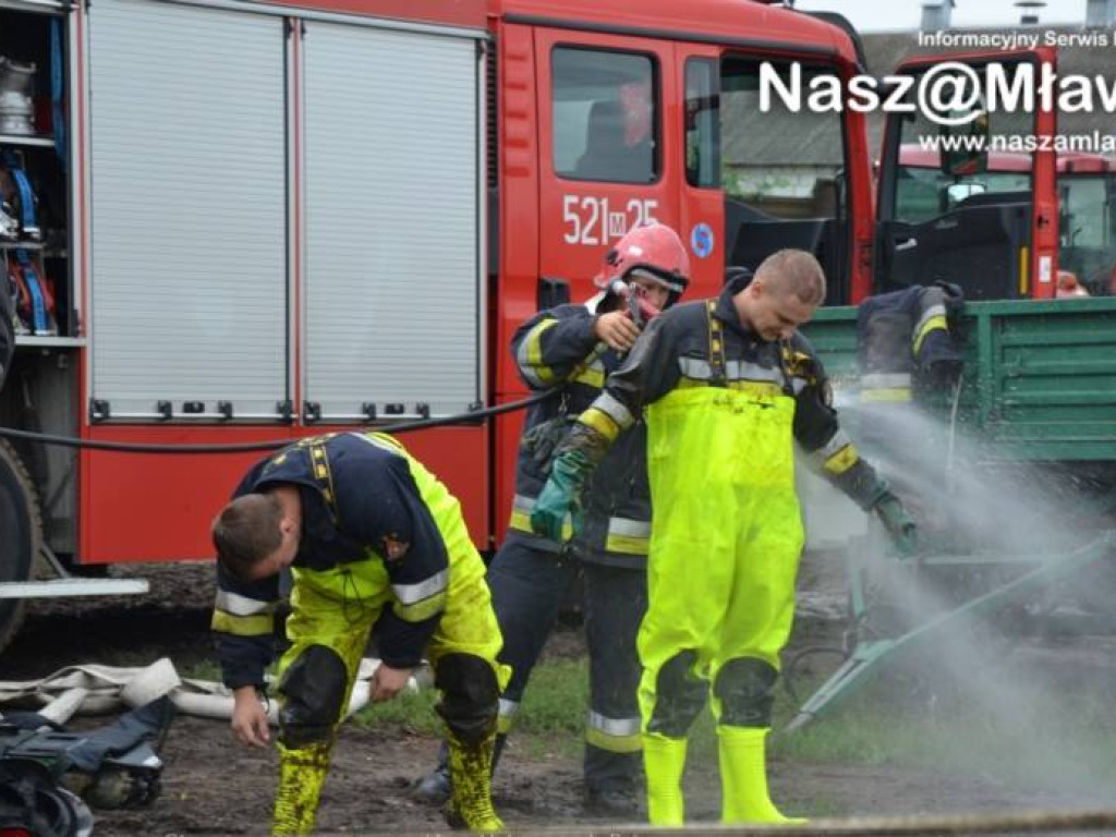 Krowa wpadła do szamba. Uratowali ją strażacy FOTORELACJA
