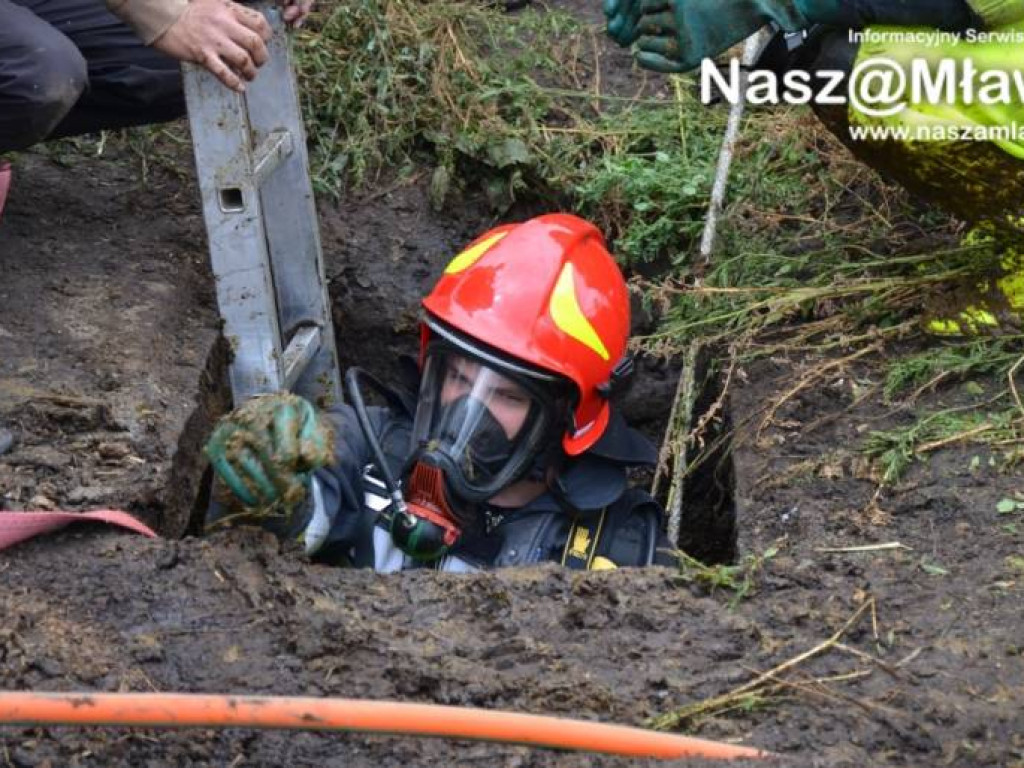 Krowa wpadła do szamba. Uratowali ją strażacy FOTORELACJA