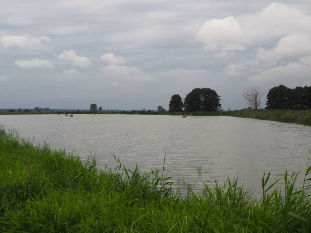 Sezon rozpoczęli szkoleniami