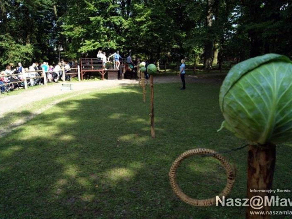 Arabia, Jamajka i USA też stawiają na Dąbek pod Mławą