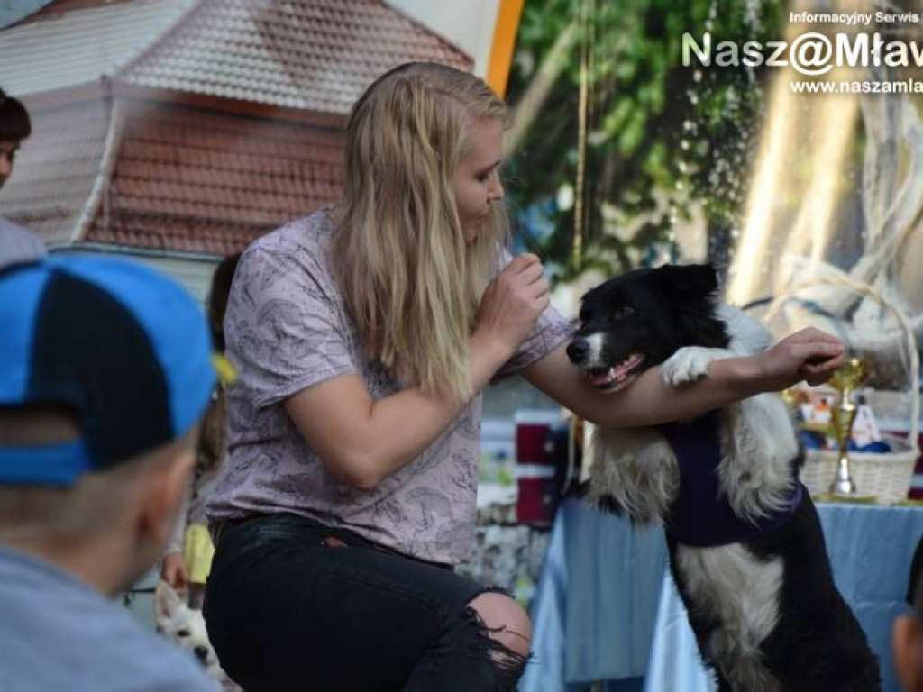 Co się działo w mławskim parku?