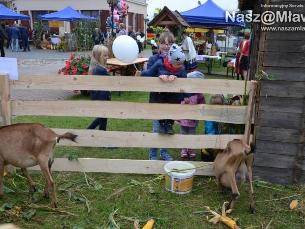 Dożynki pod mamutem. Strzegowo dziękowało za plony