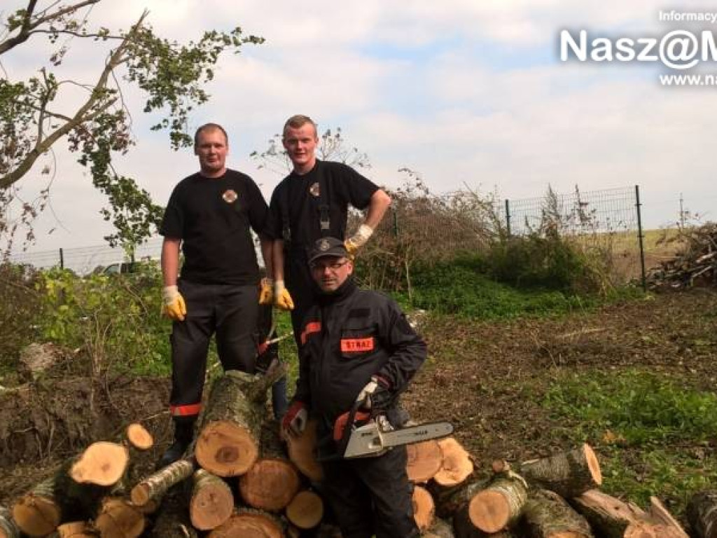 Strażacy z Podkrajewa wzięli piły i pojechali
