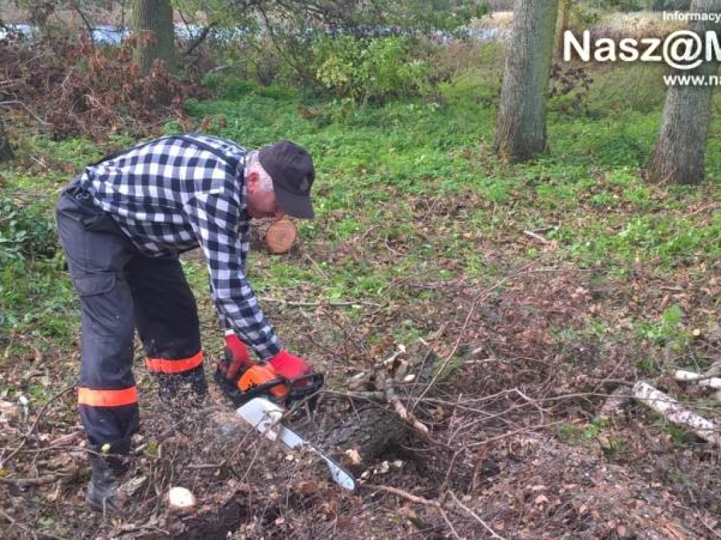 Strażacy z Podkrajewa wzięli piły i pojechali