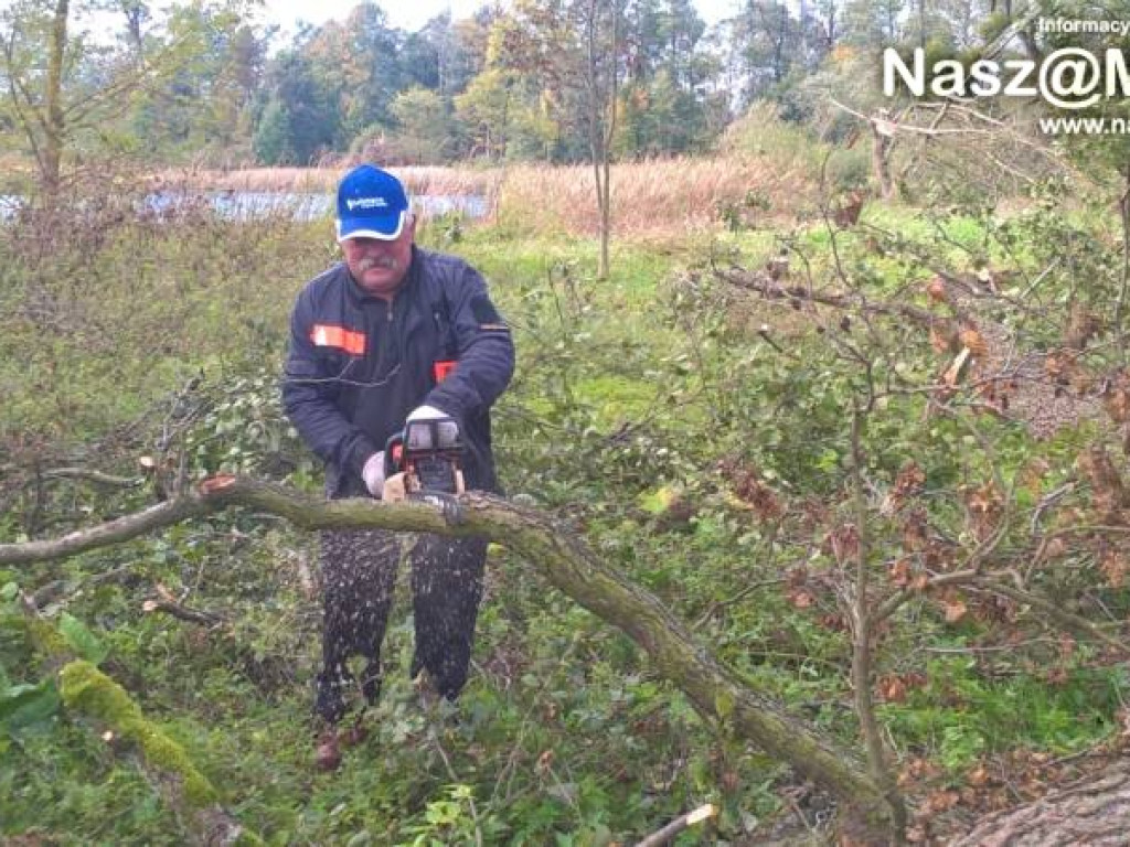 Strażacy z Podkrajewa wzięli piły i pojechali
