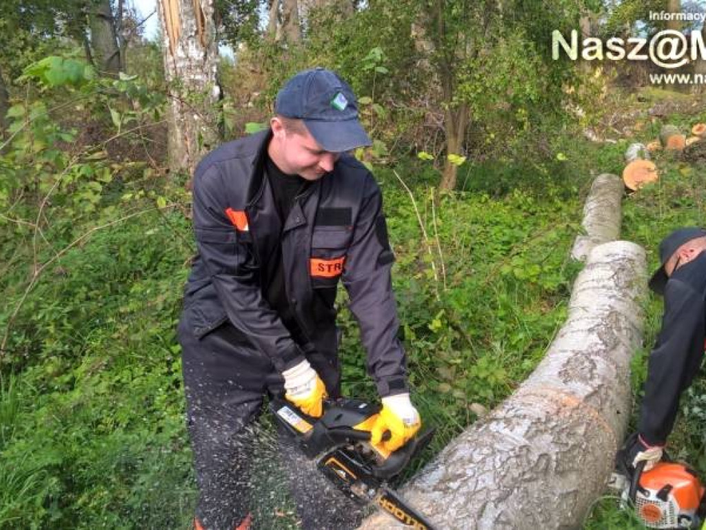 Strażacy z Podkrajewa wzięli piły i pojechali