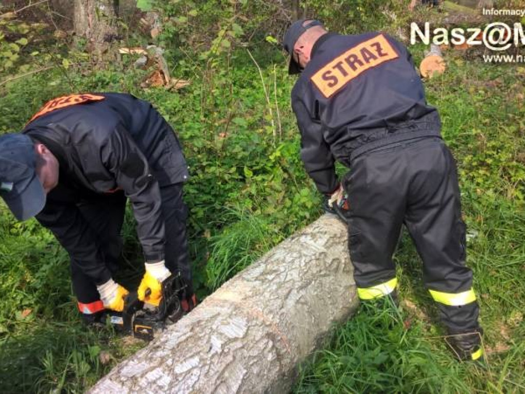 Strażacy z Podkrajewa wzięli piły i pojechali