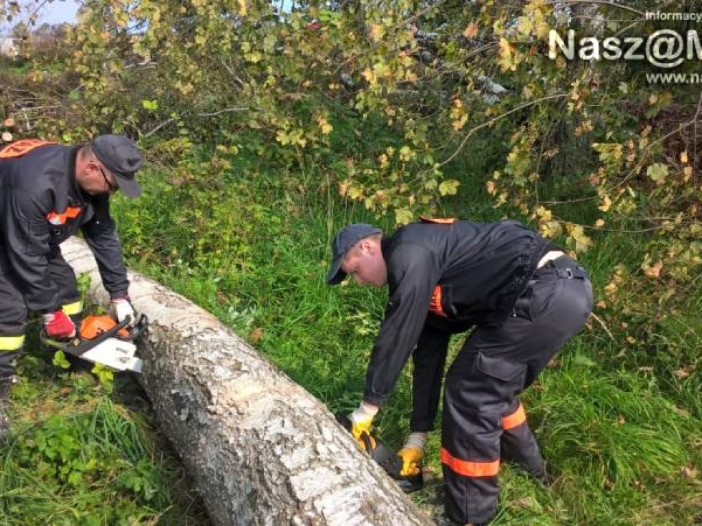 Strażacy z Podkrajewa wzięli piły i pojechali