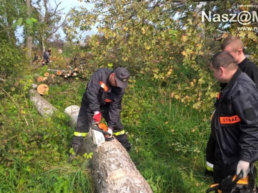 Strażacy z Podkrajewa wzięli piły i pojechali