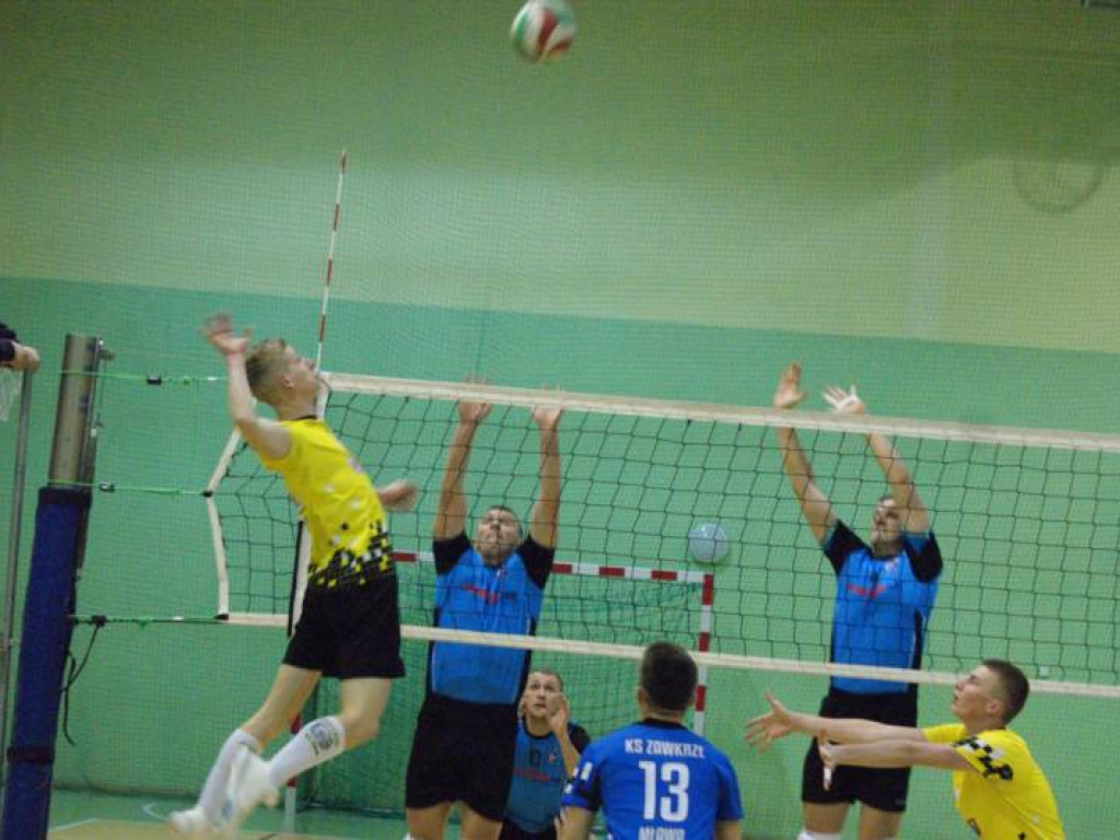 Jaguar bez zębów. Zawkrze blisko podium