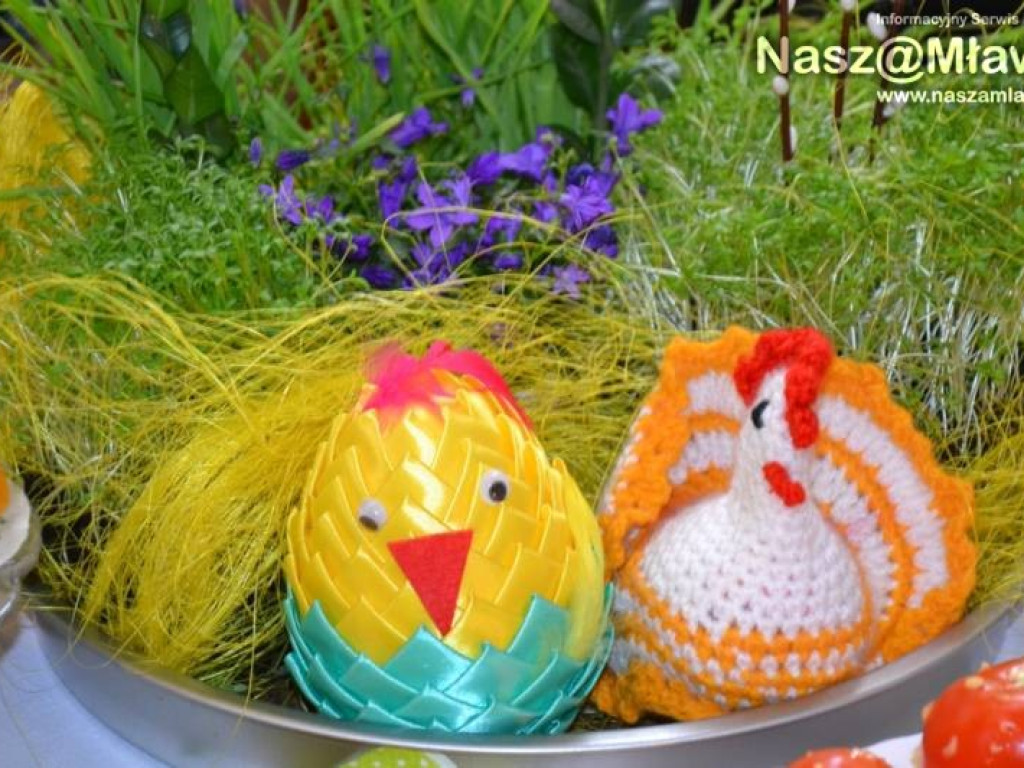 Strzegowo: Palmy, babki i... kurczaki