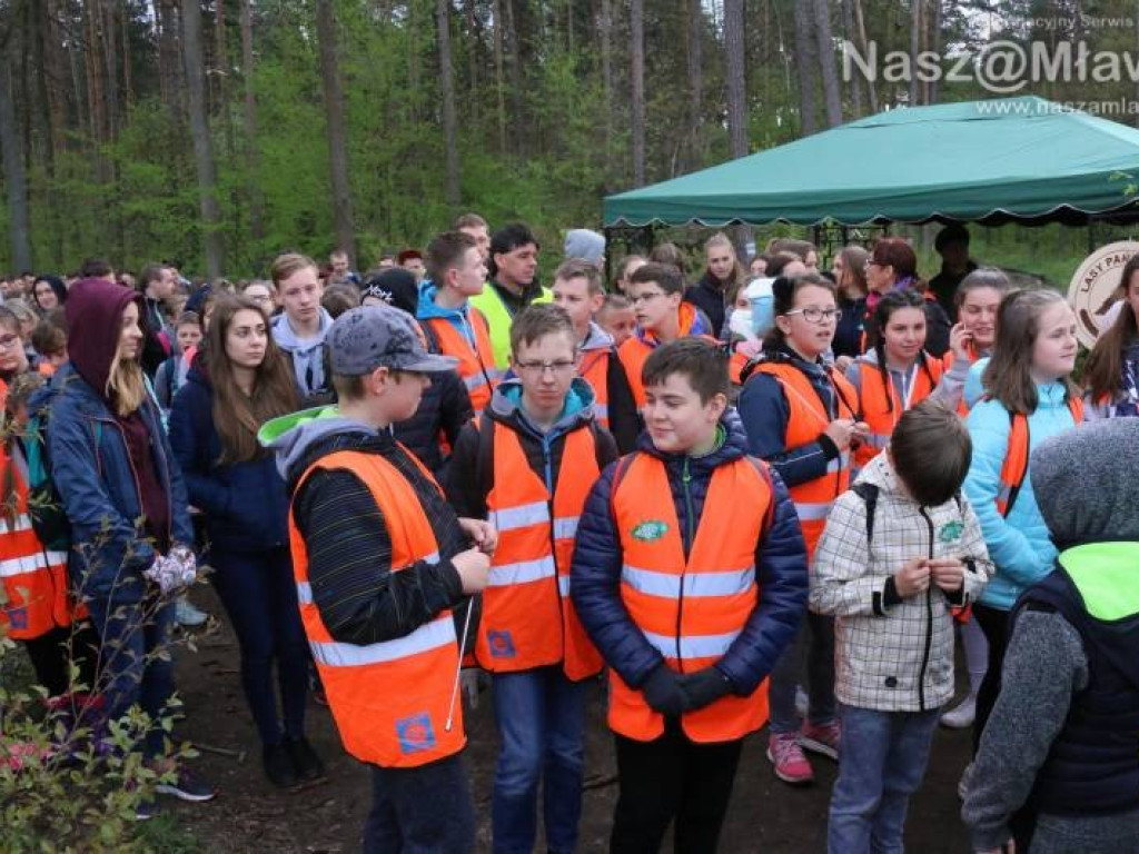 Posadzili w mławskim lesie 10 tysięcy drzew