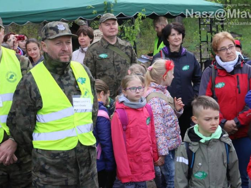 Posadzili w mławskim lesie 10 tysięcy drzew