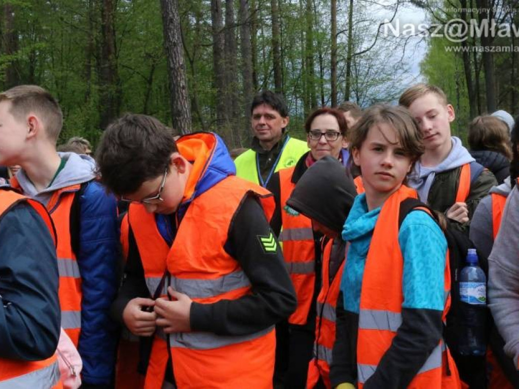 Posadzili w mławskim lesie 10 tysięcy drzew