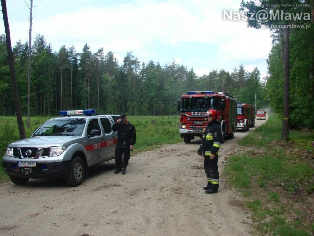 Wielkie manewry strażaków. Pożar w nadleśnictwie Dwukoły