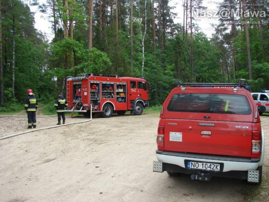 Wielkie manewry strażaków. Pożar w nadleśnictwie Dwukoły
