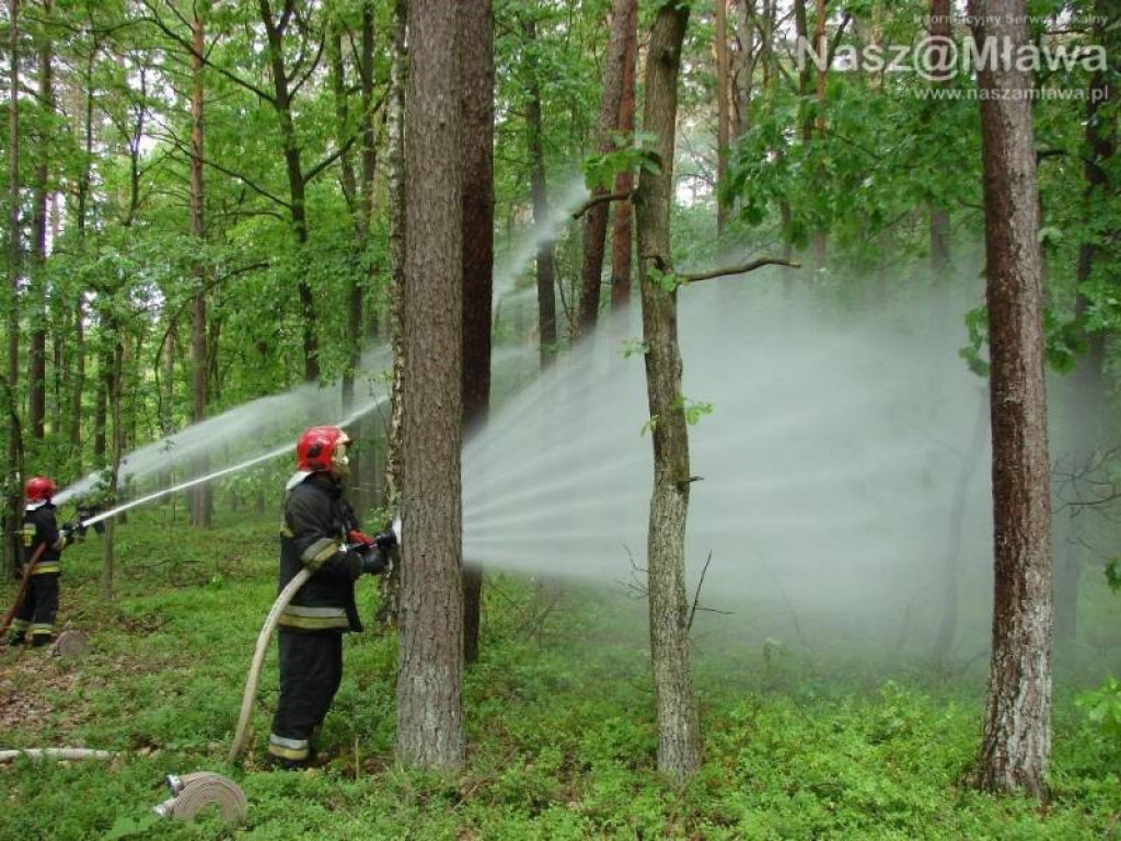 Wielkie manewry strażaków. Pożar w nadleśnictwie Dwukoły
