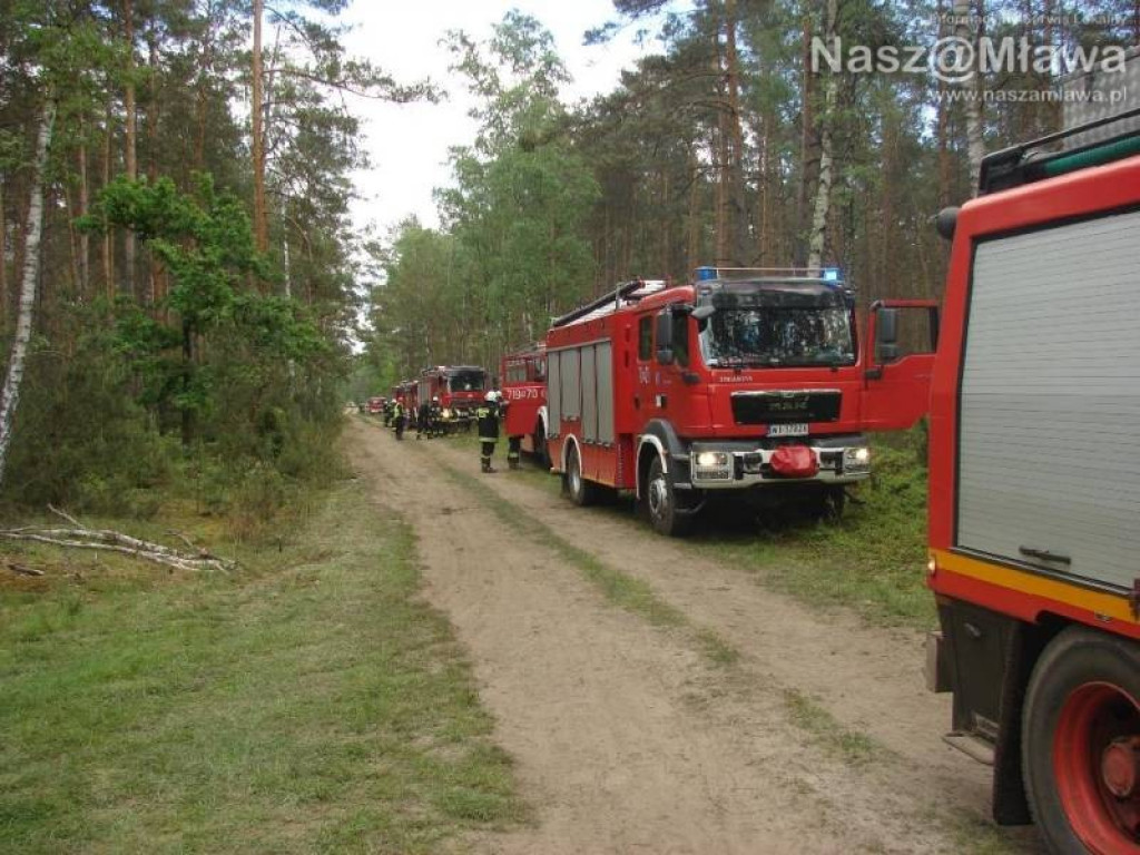 Wielkie manewry strażaków. Pożar w nadleśnictwie Dwukoły