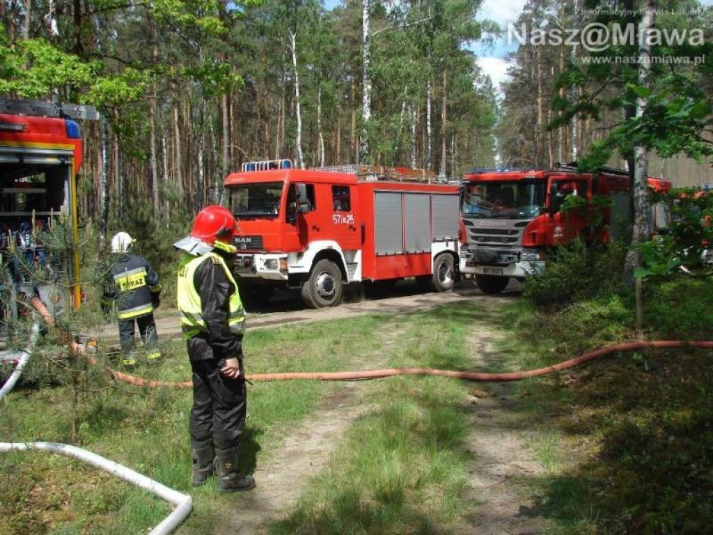 Wielkie manewry strażaków. Pożar w nadleśnictwie Dwukoły