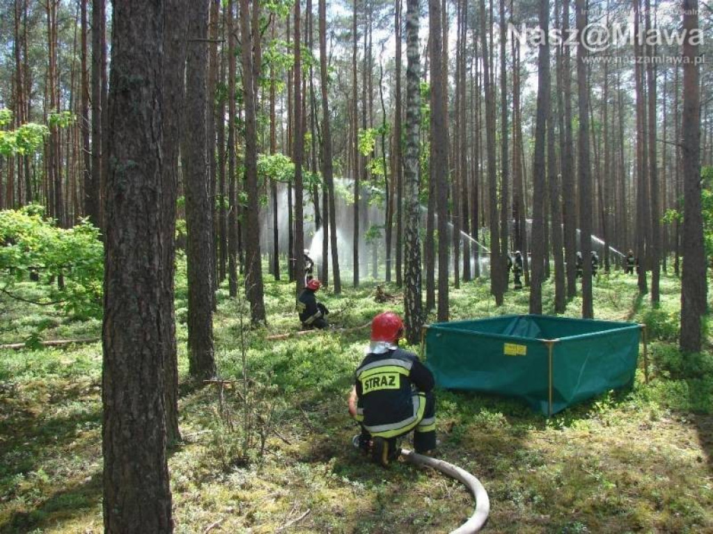 Wielkie manewry strażaków. Pożar w nadleśnictwie Dwukoły