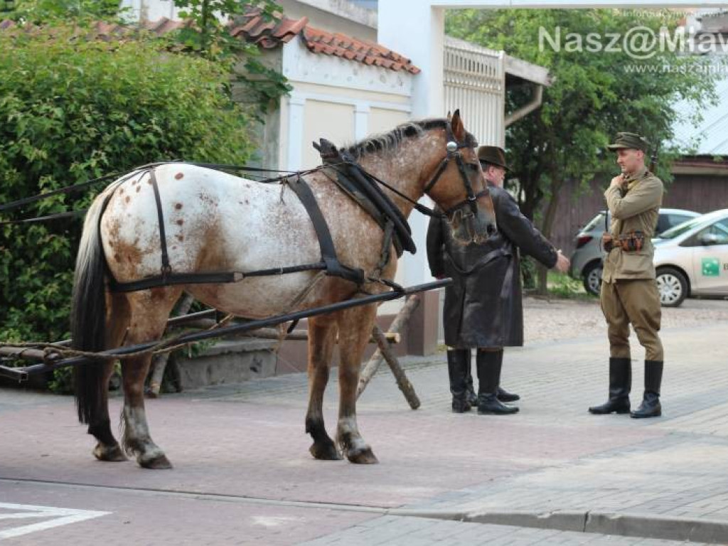 Wojsko i strzały w centrum miasta. Niezwykłe widowisko
