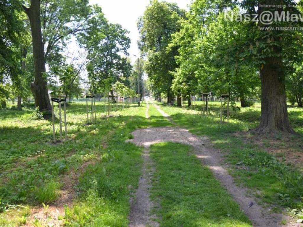 To będzie park jak za dawnych lat