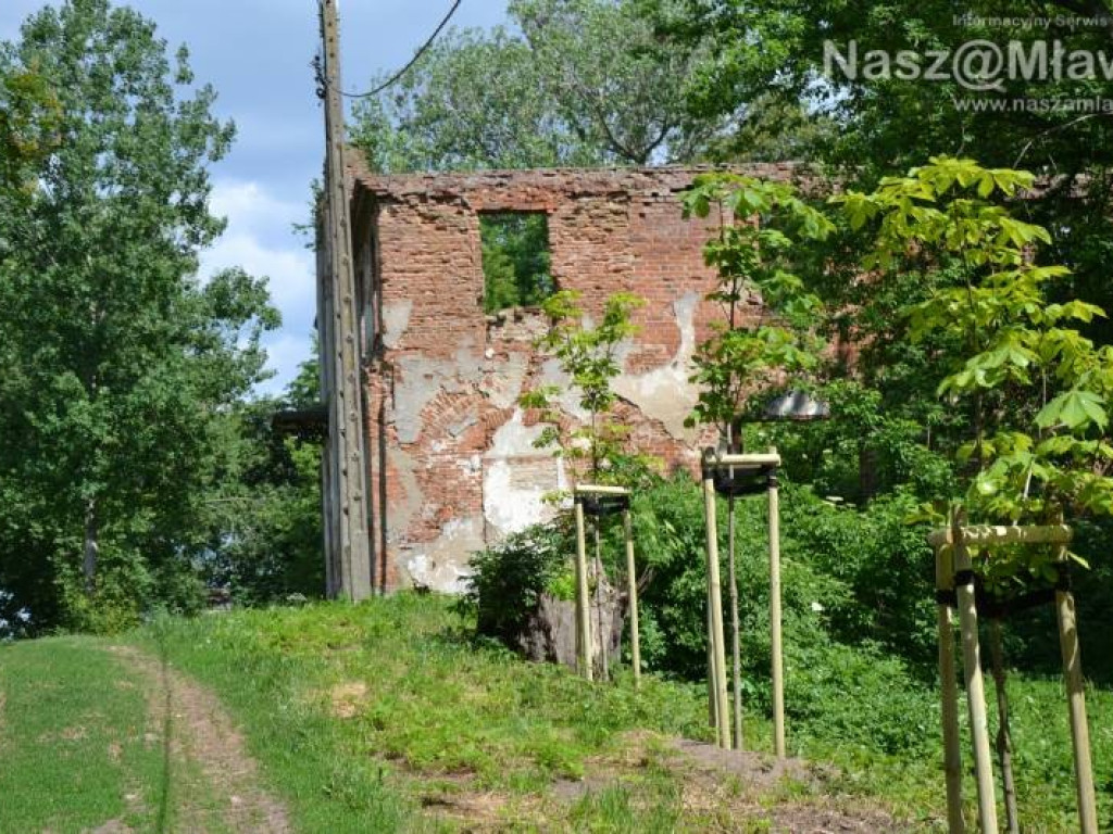 To będzie park jak za dawnych lat