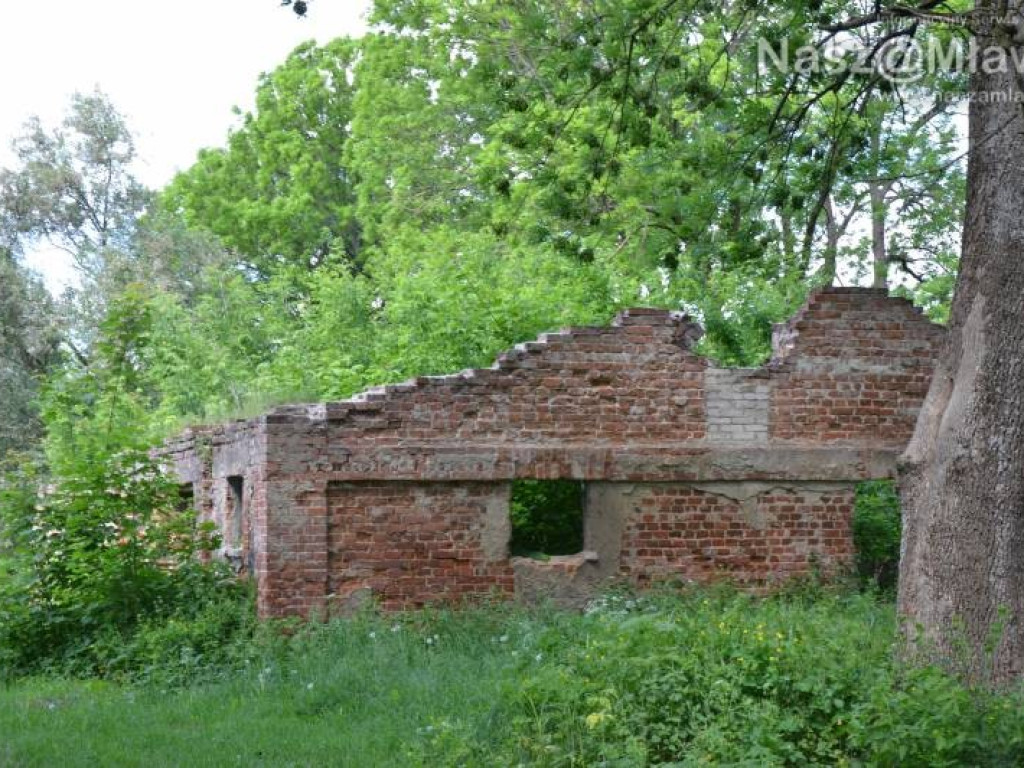 To będzie park jak za dawnych lat