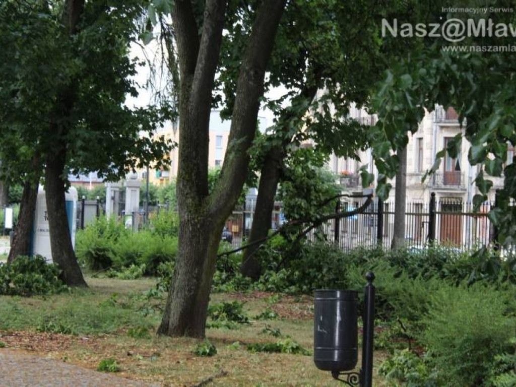 Armagedon w mławskim parku. Duże zniszczenia [WIDEO]