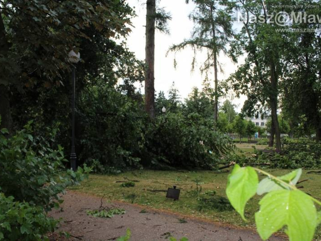 Armagedon w mławskim parku. Duże zniszczenia [WIDEO]