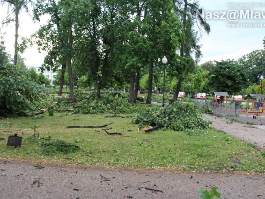 Armagedon w mławskim parku. Duże zniszczenia [WIDEO]