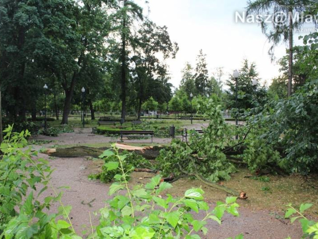 Armagedon w mławskim parku. Duże zniszczenia [WIDEO]