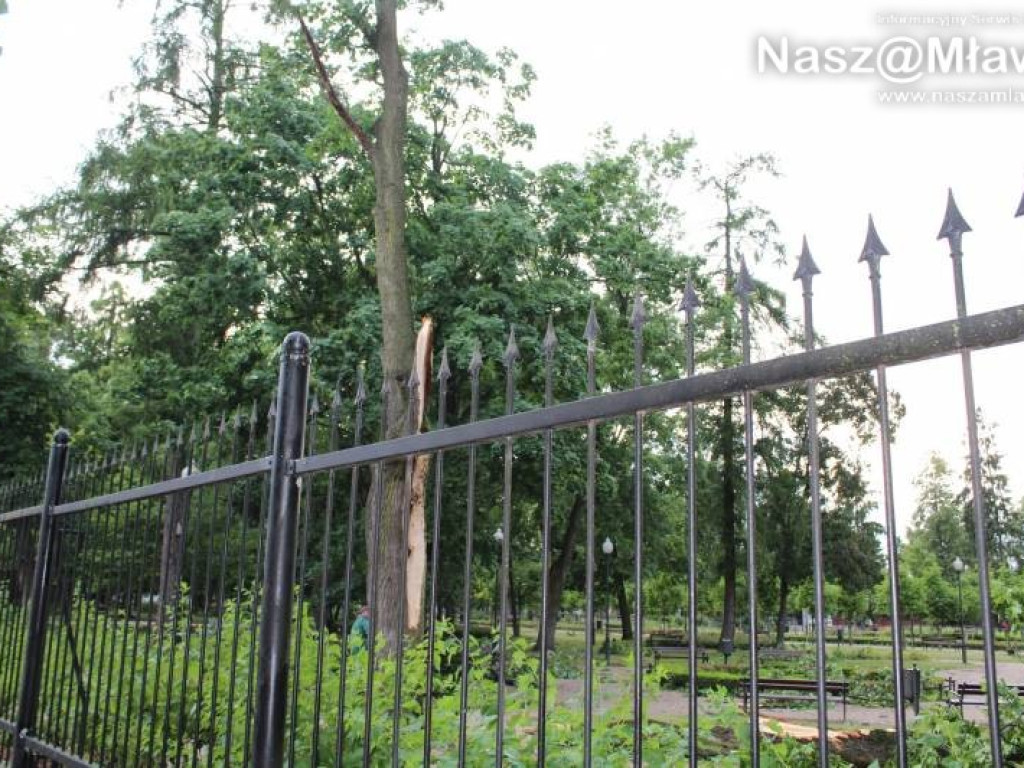 Armagedon w mławskim parku. Duże zniszczenia [WIDEO]
