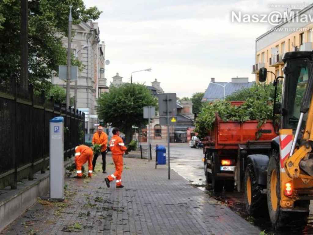 Armagedon w mławskim parku. Duże zniszczenia [WIDEO]