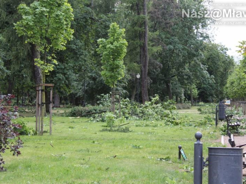 Armagedon w mławskim parku. Duże zniszczenia [WIDEO]