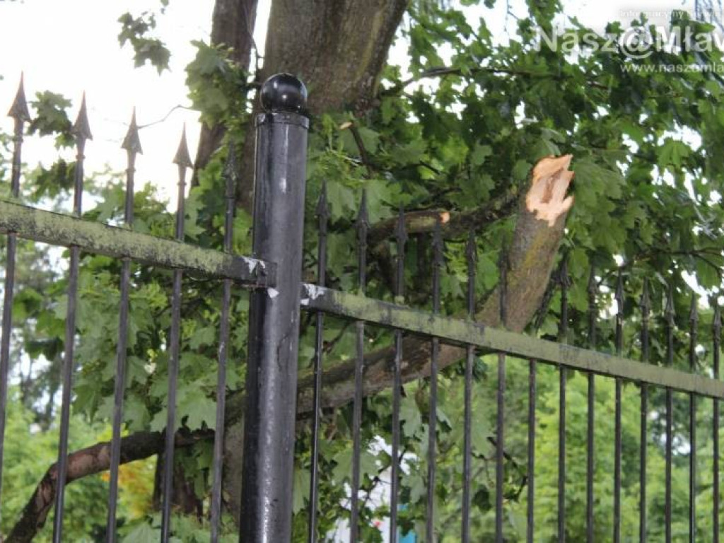 Armagedon w mławskim parku. Duże zniszczenia [WIDEO]